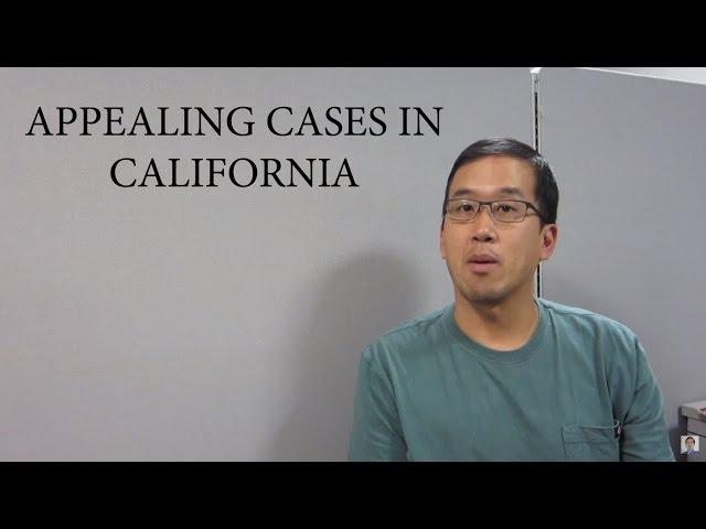 Fact vs. Law for Appeals in California - The Law Offices of Andy I. Chen