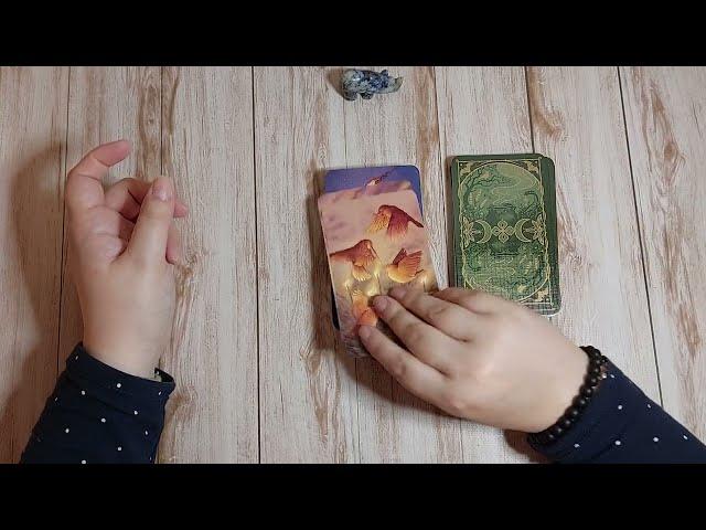 Новинка 2023 року - Tarot of the Witch's Garden - Таро Відьминого Саду