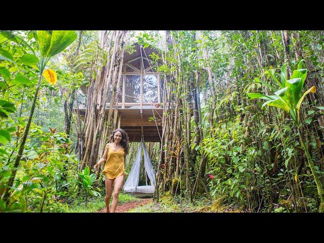 OUR OFF-GRID HAWAII TINY HOME TREEHOUSE TOUR built in 2.5 months!