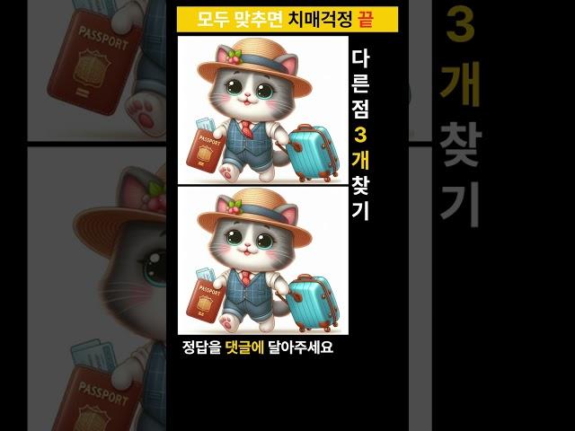 시니어 정보마당- 다른그림찾기(틀린그림찾기) - 여행가는 냥이