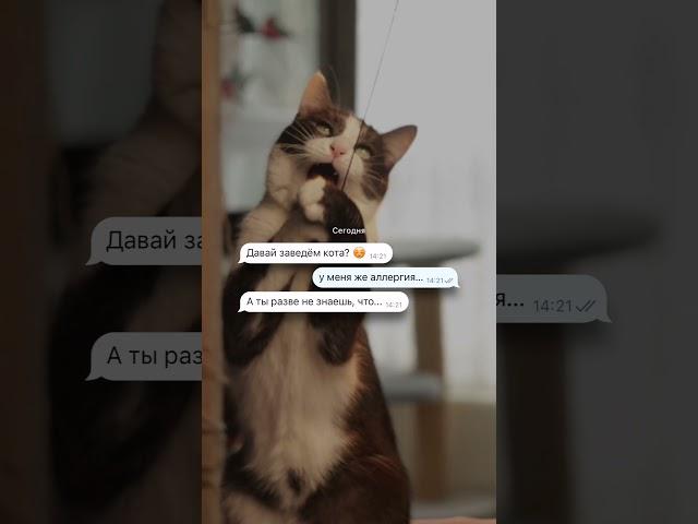 Ситуация Критическая? АЛЛЕРГИЯ на животных