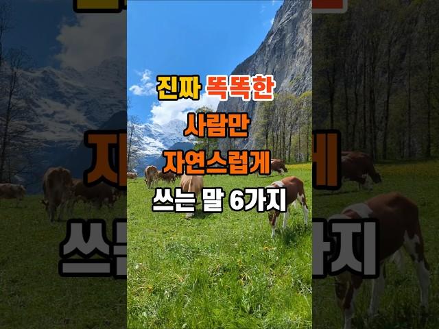 20만뷰 진짜 똑똑한 사람만 자연스럽게 쓰는 말 6가지 #인생조언 #명언 #좋은글 #지혜
