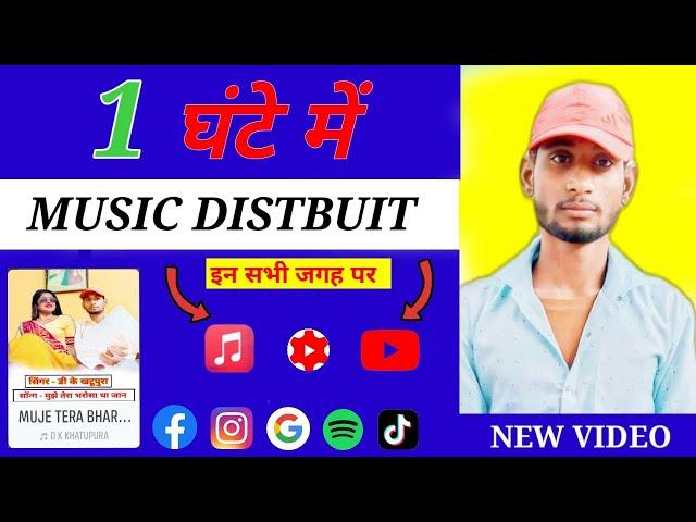 Music Distbuit || in 2 Hours || Best Music Distribute Dashboard | Norcore music Distribute Dashboard