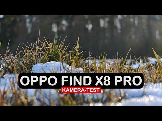 Oppo Find X8 Pro Kamera Test