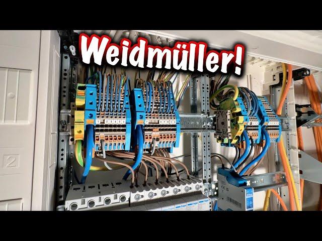 Reihenklemmen von Weidmüller! ElektroM