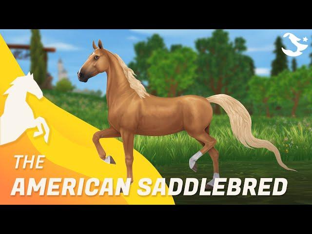 American Saddlebred  | Star Stable Horses