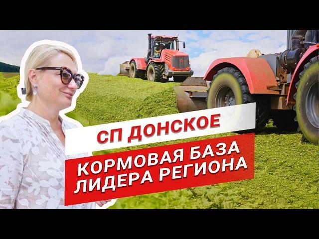 Как доить 11 000 кг/год? | СП Донское | Вера Пузанкова | Заготовка силоса | Молочное животноводство