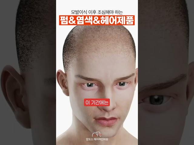 모발이식 이후에 미용실 가고싶은데