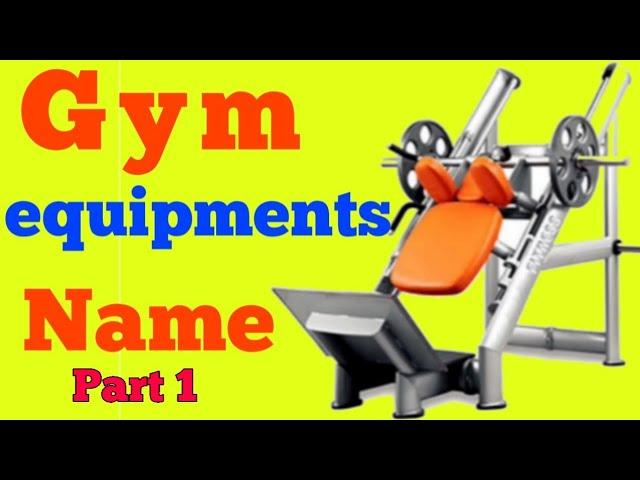 Gym Equipment Guide For Beginners – Names and Pictures