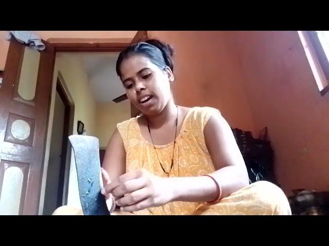 Bengali Vlog - Shuli Chowdhury vlogs