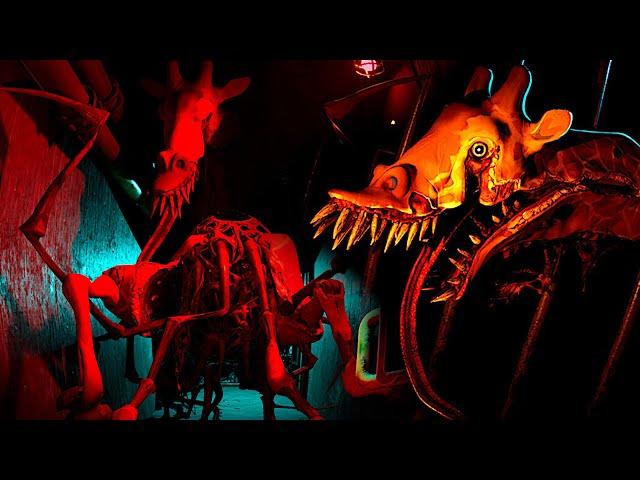 Take Care of horrifying Normal Zoo Animals - Zoochosis FULL PLAYTHROUGH & Ending [ 1 ]