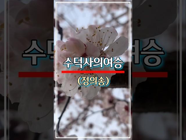 #수덕사의여승 #정의송 #전통가요 #트로트 #트롯트인기가요 #트롯 #옛날노래 #옛노래 #옛가요