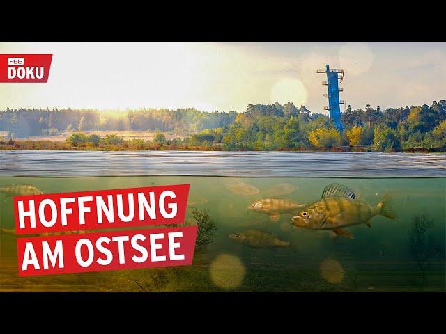 Der Ostsee - Brandenburgs größter See entsteht | Doku