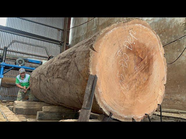 Amazing Raw Wood Sawmill // Operating Extra Large Saws, Beautifully Sawing Planks