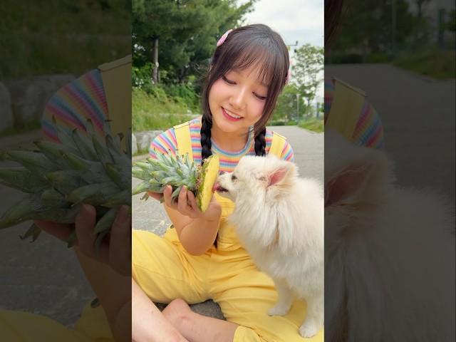 kkubi took his puppy to grow pineapples