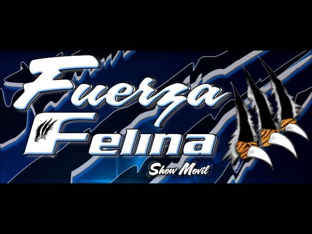 SALSA FUERZA FELINA VOL 1