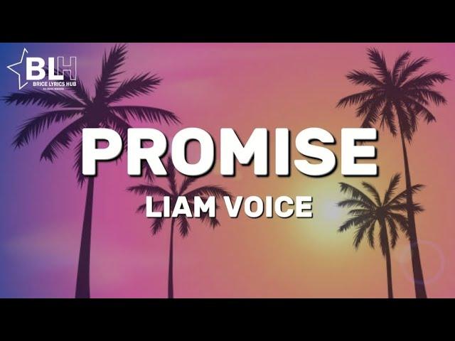 Liam Voice - Promise (English Translation Lyrics)