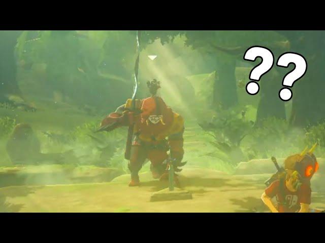 Getting a Yiga to Pull the Master Sword! | Zelda: Breath of the Wild