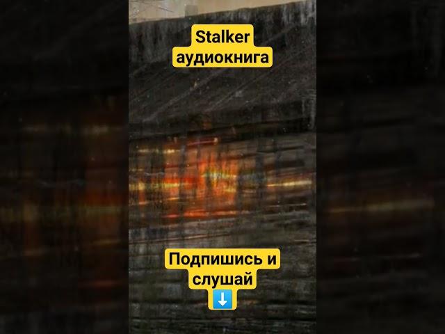 9 Фантомный поселок Потерянный сектор STALKER аудиокнига Александра Родина #аудиокнига #сталкер