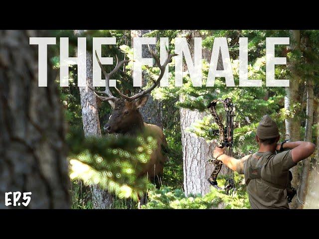 Big Bull on the Last Day of the Hunt (Day 9) | Colorado OTC Archery Elk Hunt