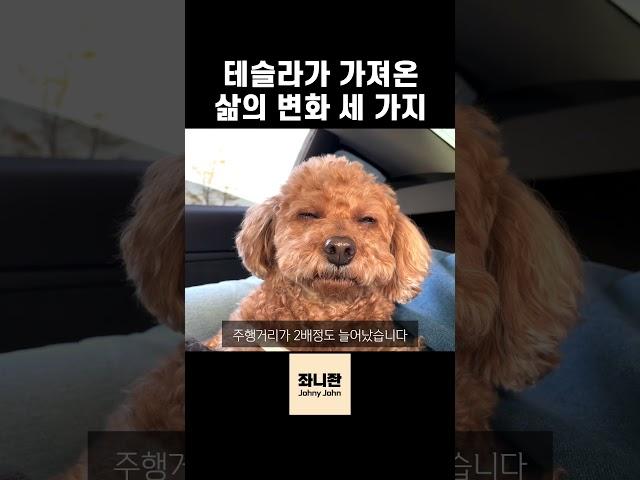 [350만뷰] 테슬라 타면서 느낀 변화 세 가지