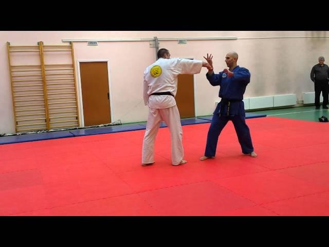 Real Aikido Igor Petrovich 6