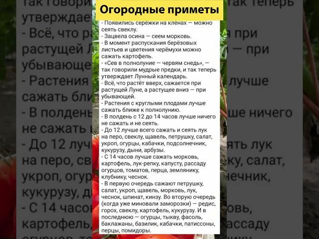 5 огородных примет, которые работают на 100% #садоводство #садоводничество #растения #огород #дача