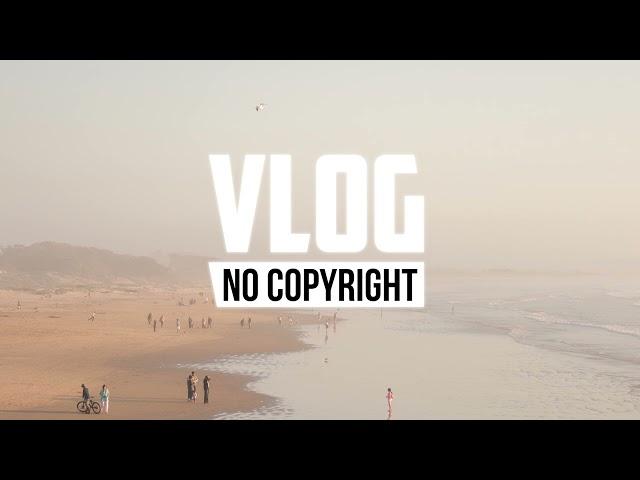 Novael - Coastline (Vlog No Copyright Music)