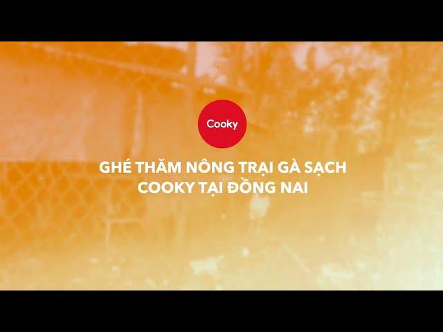 Ghé thăm nông trại gà sạch của Cooky tại Đồng Nai | Cooky Việt Nam