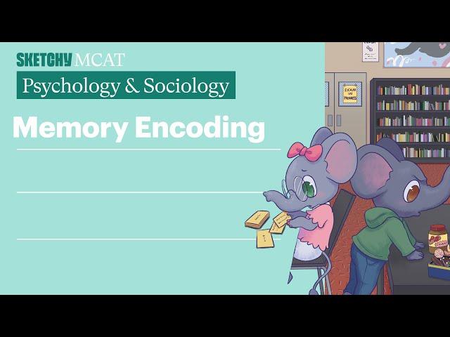 Memory Encoding (Psychology/Sociology) | Sketchy MCAT