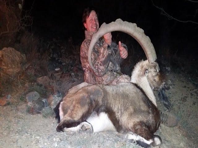 Bezoar Ibex Hunt in Turkey / Flemming Rolin & Recep Ecer