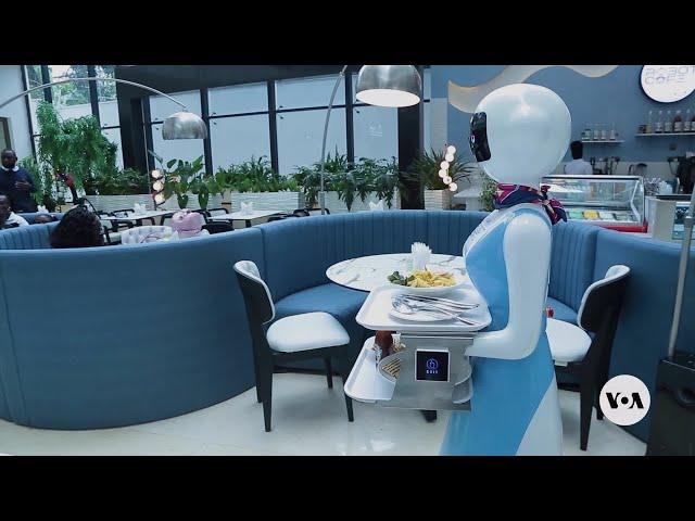 Restaurant with robot servers causes excitement in Nairobi | VOA News