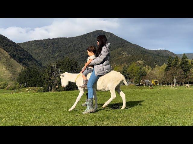 Finally William and Mum riding a goat together !!!