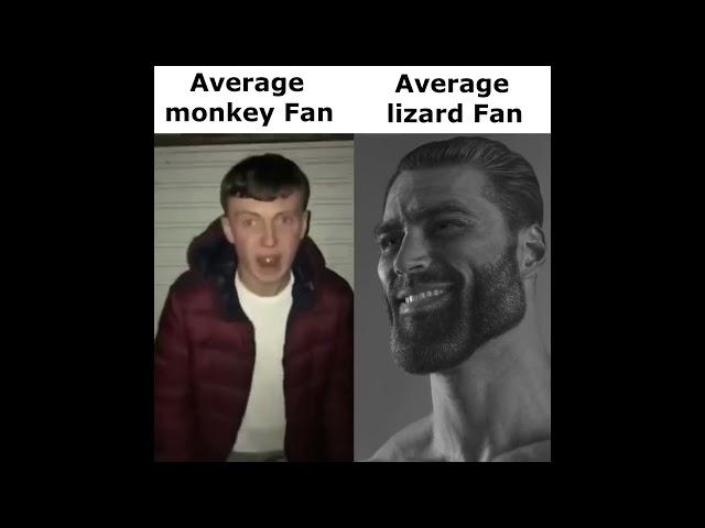 Average monkey Fan VS Average lizard Enjoyer