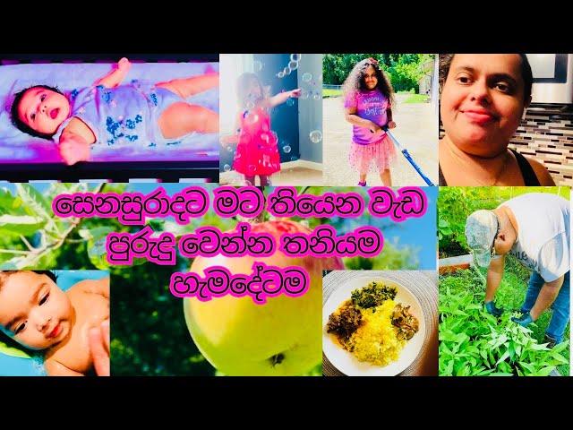 Simple life in America | අපි හැමෝගෙම හැඩිවෙන කුස්සියේ තැන | USA Family