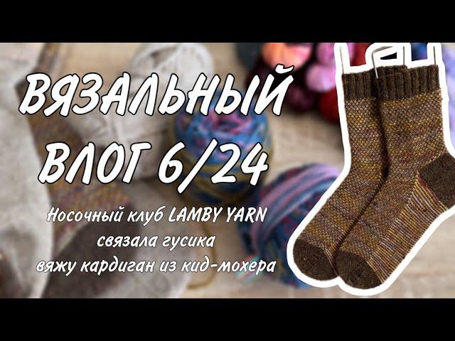 ВЯЗАЛЬНЫЙ ВЛОГ 6/24: носочный клуб от LAMBY YARN, связала гусика, летом вяжу из кид-мохера