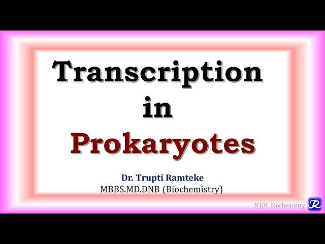 7: Transcription in Prokaryotes | Molecular Biology | Biochemistry | N'JOY Biochemistry