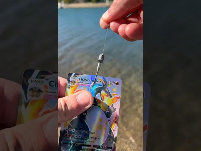 Fishing with Pokémon Cards  #pokemoncards #crownzenith #fishing #funny #ocean