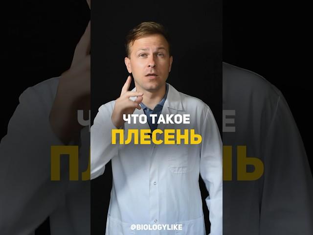 Что такое плесень?! ‍🟫 #биология #наука #научныеистории #грибы #плесень
