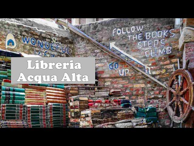 Venice's Hidden Gem Libreria Acqua Alta Tour and Tips for Book Lovers!