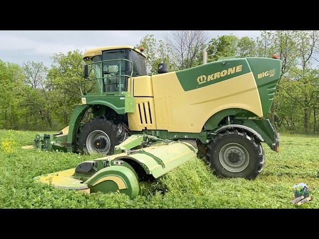 Mowing First Cutting Alfalfa with a Krone Big M 450