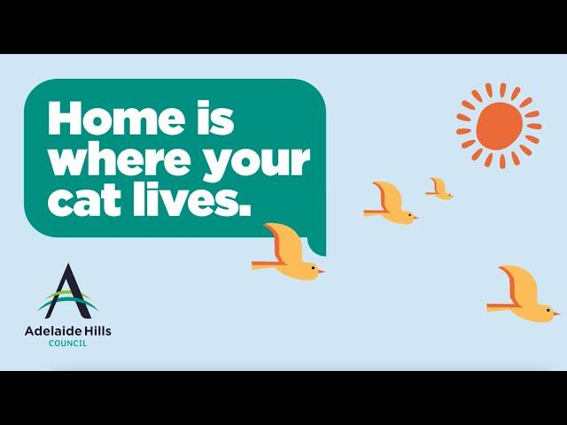 Adelaide Hills Council - New Cat Ownership By-Law Animation