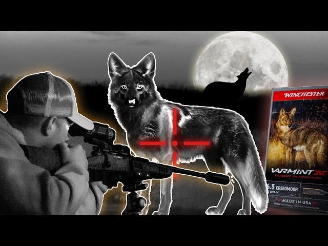 How We Hunt Coyotes at Night Using Thermals: 3 Epic Kills!