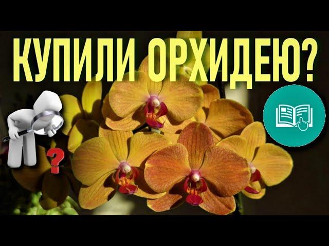 КУПИЛИ ОРХИДЕЮ? СЛЕДУЙТЕ ИНСТРУКЦИИ! ДЛЯ НОВИЧКОВ! КАК ВОССТАНОВИТЬ ТУРГОР ЛИСТЬЕВ ОРХИДЕИ ЗА ДЕНЬ!