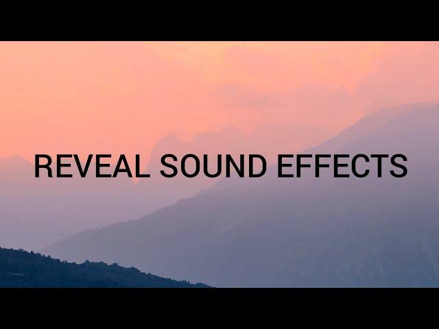 REVEAL SOUND EFFECTS 2020 #RevealSoundeffects