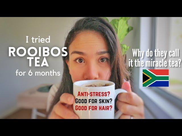 I tried ROOIBOS tea for half a year: the Miracle tea from South Africa? | My South African lifestyle