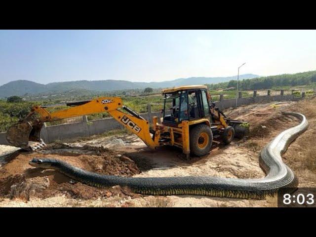 Jcb 3dx Machine Working Mud Loading With eishar and sonalika Tractor | Jcb and TractorCartoon Video