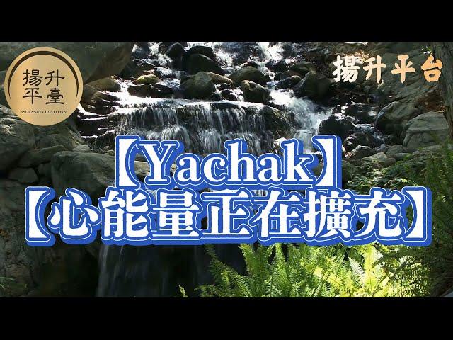 【Yachak】    【心能量正在擴充】