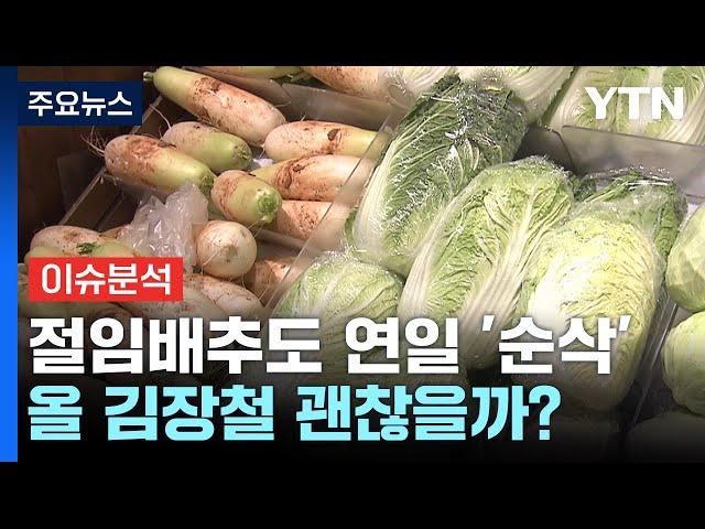 [경제PICK] 절임배추도 연일 '순삭'...올 김장철 괜찮을까? / YTN