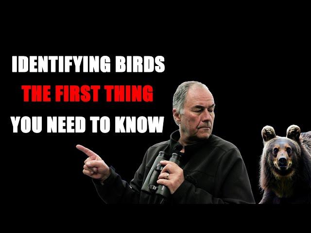 The FIRST thing you NEED to know to identify birds.